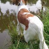 Foto van Lianne en Hinke
