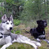 Skye en Nyx in het bod in Eindhoven