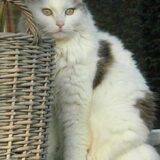 Foto van Emely, Bently's baasje
