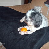 Turbo met de stressbal. dat is echt een uitvinding hoor. helemaal…