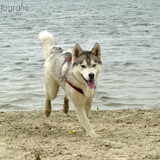 Foto van Dy-Ann