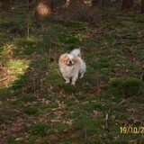 Foto van roxanne & balou