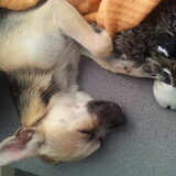 Foto van Shirley & Luna