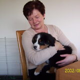 Dit is onze nieuwe pup ikaro hij is bijna 10 weken oud morgen. Hij is…