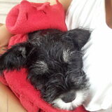 Mittens na de douche