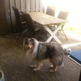 Foto van Lizzie en Sterre