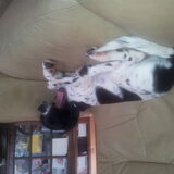 Foto van Michelle & Bentley