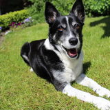 Kelly in de tuin
