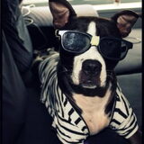 Foto van Melissa & Bandit