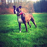 Foto van Melissa & Bandit
