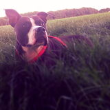Foto van Melissa & Bandit