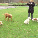 Foto van claudia