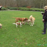 Foto van claudia