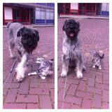 Presta en d,r vriend Nelis :-)