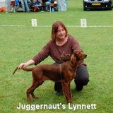 Dit is de eerste tentoonstelling waar onze pup Juggernaut's Lynnett…