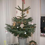 Xmastree Inmiddels hangen er nog (alles wit:p)witte veertjes, en…