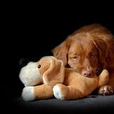Foto van Maks met Fenna & Yuna