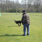 Foto van corrie en blacky