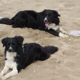 Baylee & Faya op het strand, heerlijk aan het uitwaaien en natuurlijk…