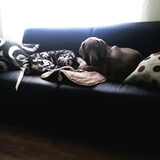 Samen slapen
