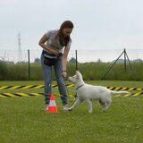 Foto van Beautiful white angel
