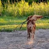 Foto van Maks met Fenna & Yuna
