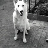 Foto van Annelies met  Sem