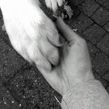 Foto van Annelies met  Sem