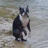 Foto van linneke