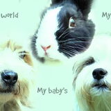 Foto van Melissa, Dempsey, Taiko, Minos & *Nina*