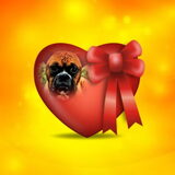 frannie's creations nr 1