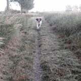 Foto van Elena