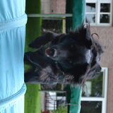 Foto van * Baasje Buddie met Anne*