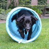 Foto van * Baasje Buddie met Anne*