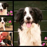 Foto van Angelique; Bruno, Charlie & Fenna