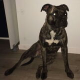 Foto van BeuKie