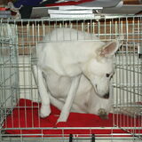 uhmm malaika dit is Sky z'n bench die van jou staat er naast ;)