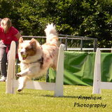 Foto van Angelique; Bruno, Charlie & Fenna