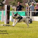 Foto van Angelique; Bruno, Charlie & Fenna