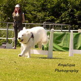 Foto van Angelique; Bruno, Charlie & Fenna