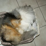 Kijk, past nog steeds :D