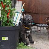 Foto van Jeanine :)