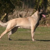 Chica haar vader Raiko