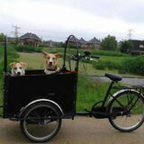 bakfiets