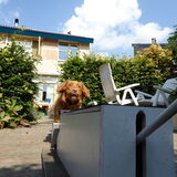 Foto van judith