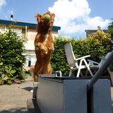 Foto van judith