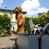 Foto van judith