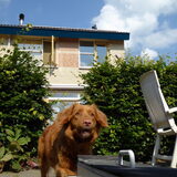 Foto van judith