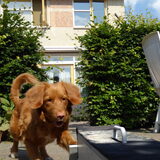 Foto van judith