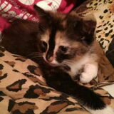 Foto van Angelique, Kleine Maybe en Tess <3
